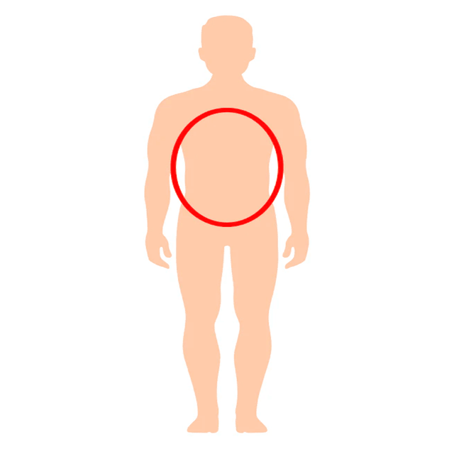 Illustration af en menneskelig overkrop med rød markering for placering af støttebind