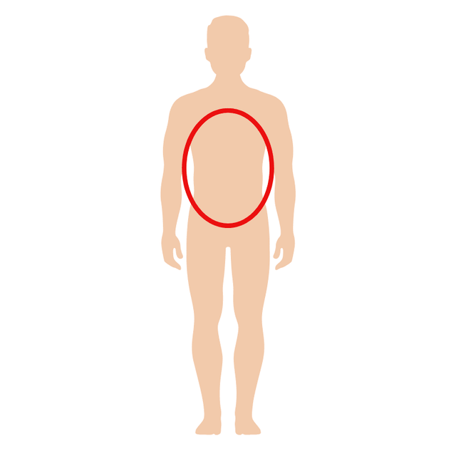 Illustration af en overkrop forfra, med en rød oval der viser hvor en tubebandage kan placeres