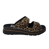Fidelio damsandal, Leopard