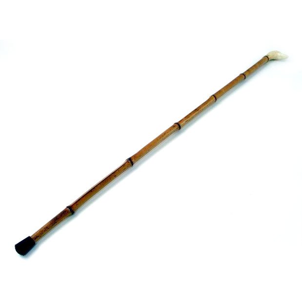 Käpp med ankhuvud