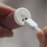 Bullie vibrator