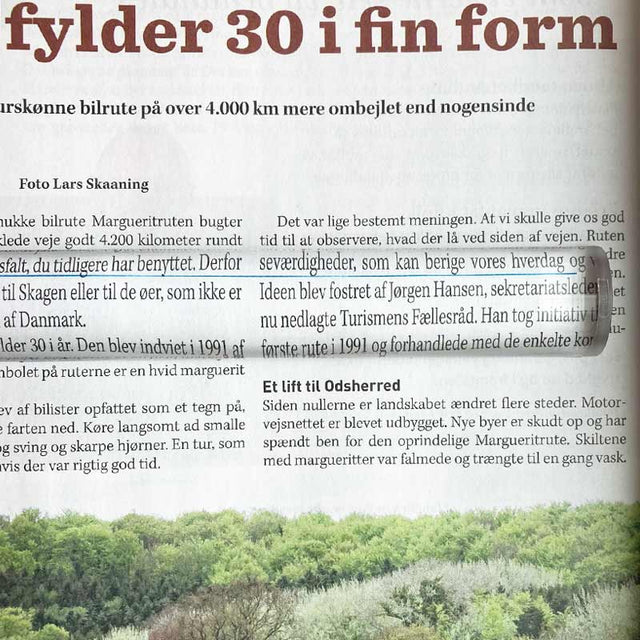 Läslinjal 21 cm, 2x förstoring